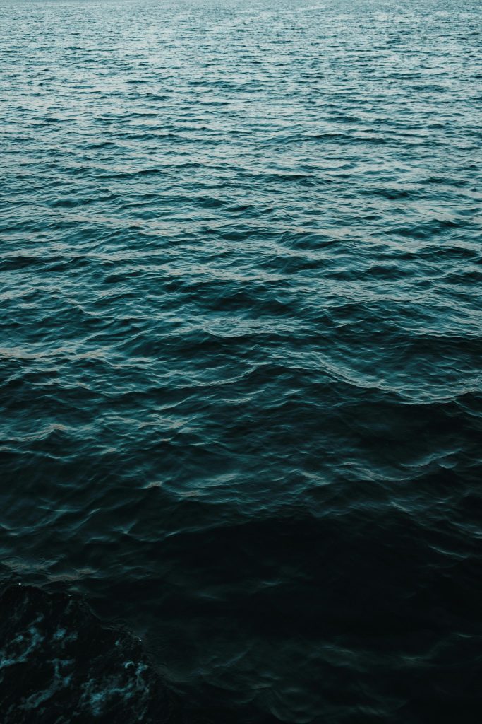 What Is The Best Water Filter For Polluted Water?
