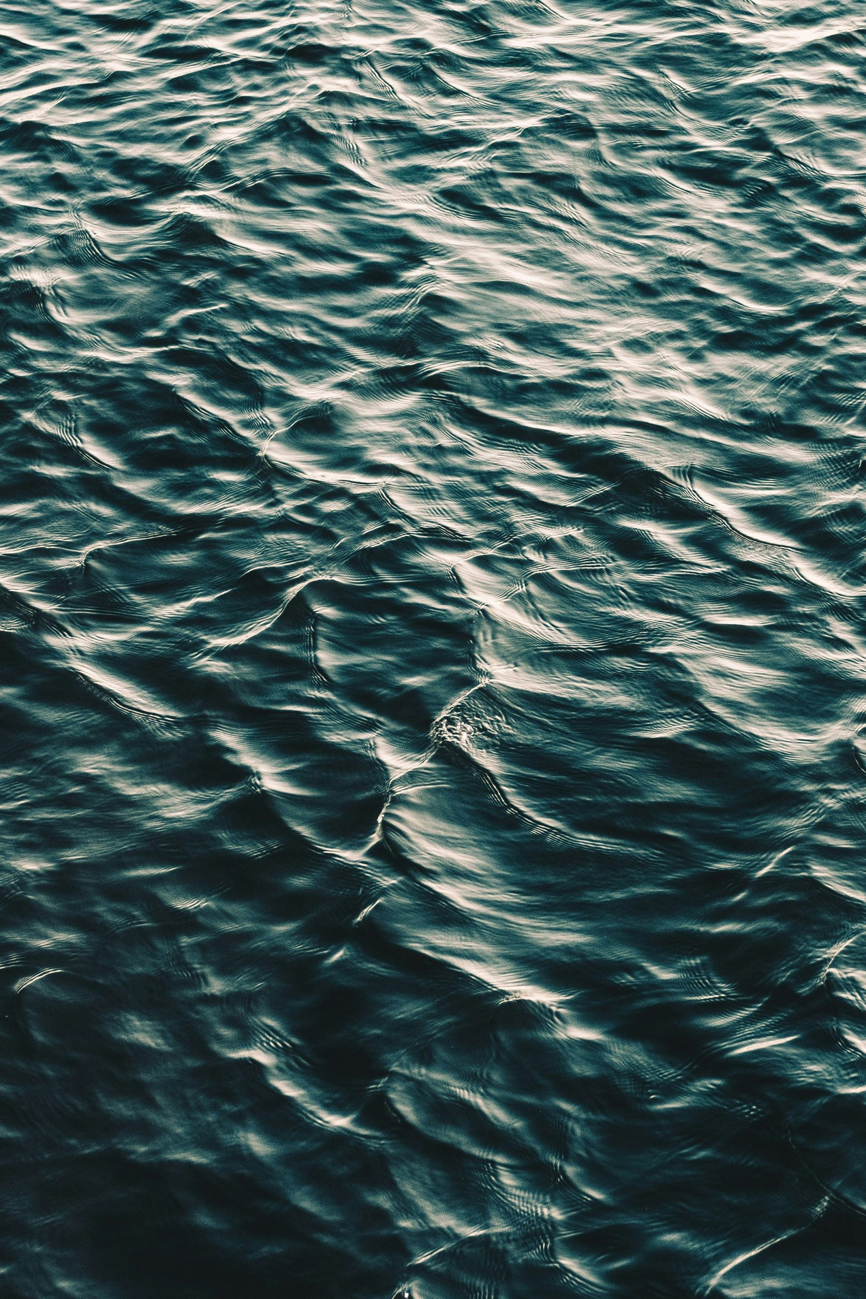 What Water Filters Remove Everything?