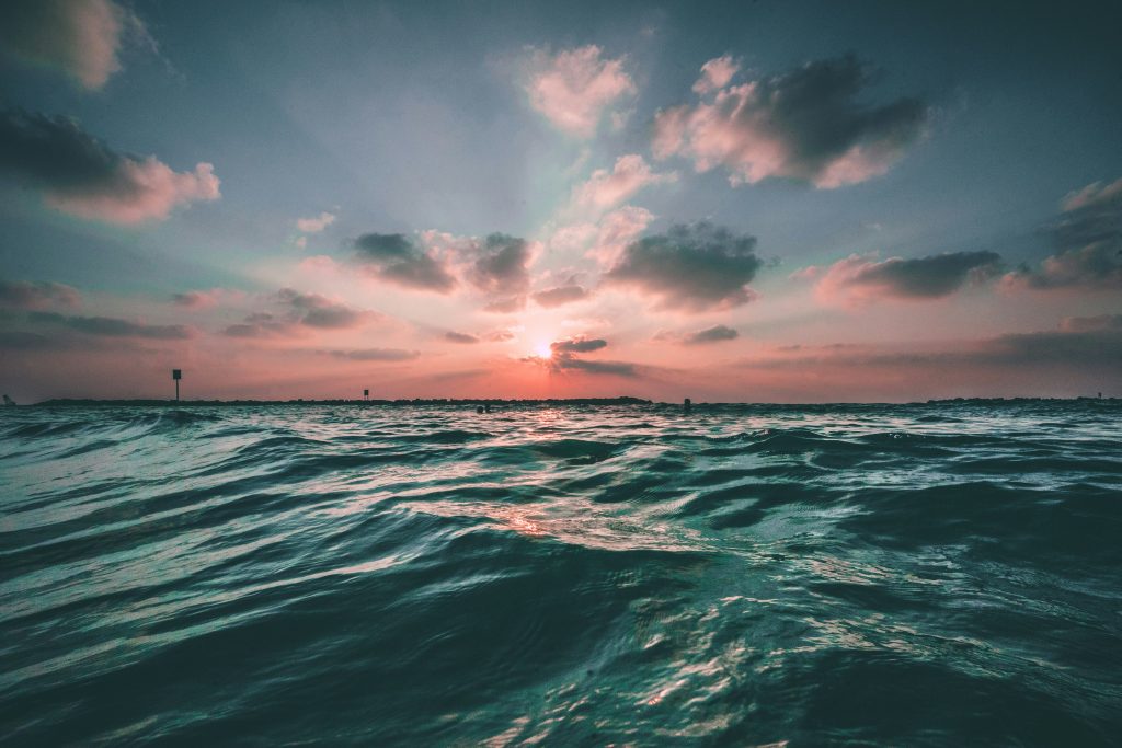 Which Water Purification System Is Best?