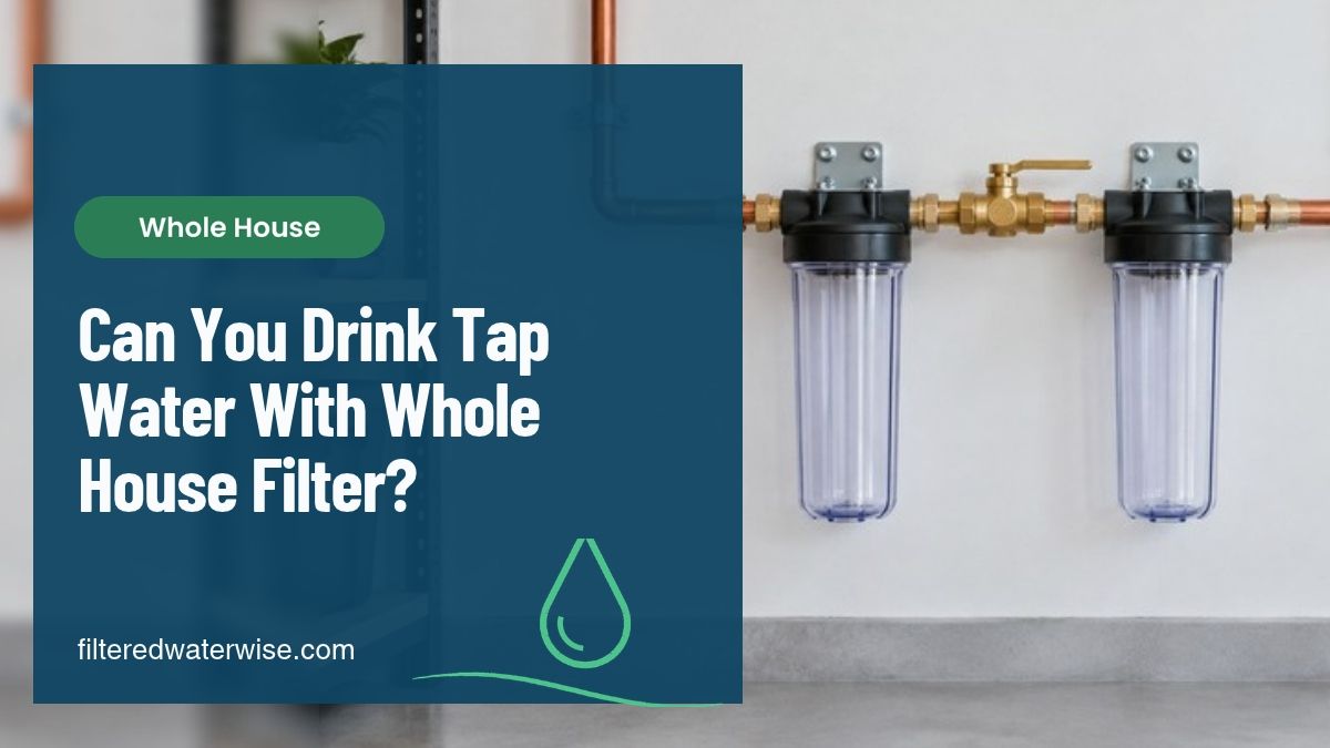 Can You Drink Tap Water With Whole House Filter?