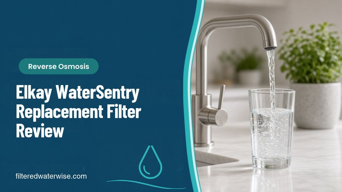 Elkay 51300C_12PK WaterSentry Replacement Filters Review