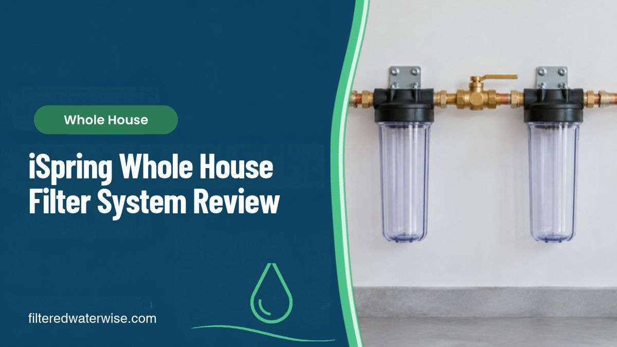 iSpring Whole House Water Filter System Review